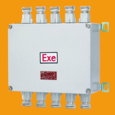 eJX-系列防爆接線箱 (e、tD)